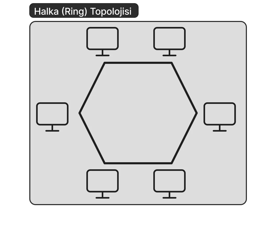 Halka Topolojisi